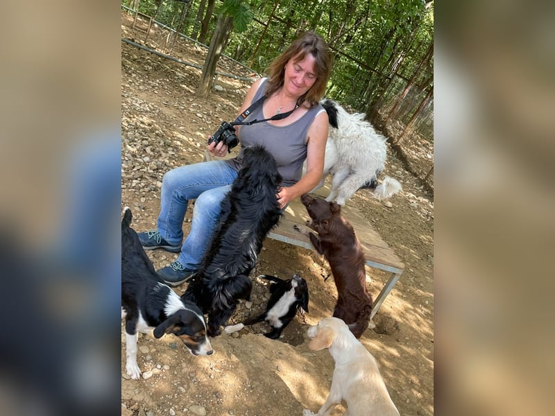 Kuckuck, zauberhafte SUNSET sucht liebevolle Familie