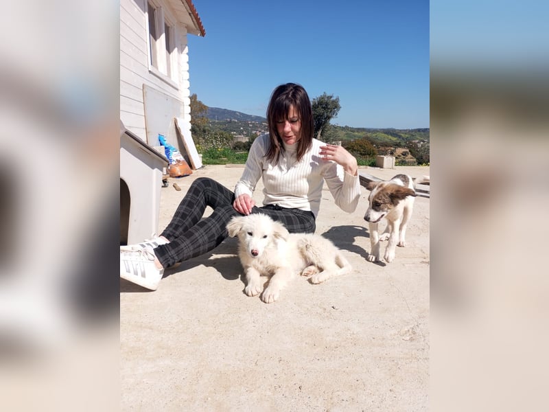 Safia: „Wo wird mein Zuhause sein?“