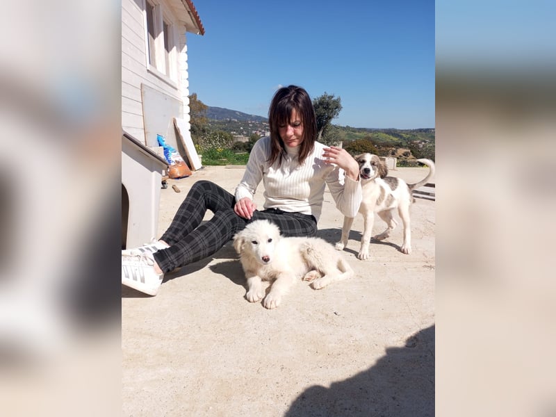 Safia: „Wo wird mein Zuhause sein?“