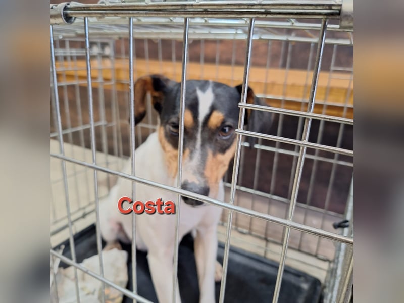 COSTA