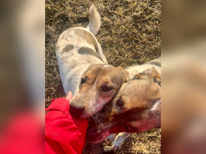 Aufgeschlossene Freya sucht liebe Familie