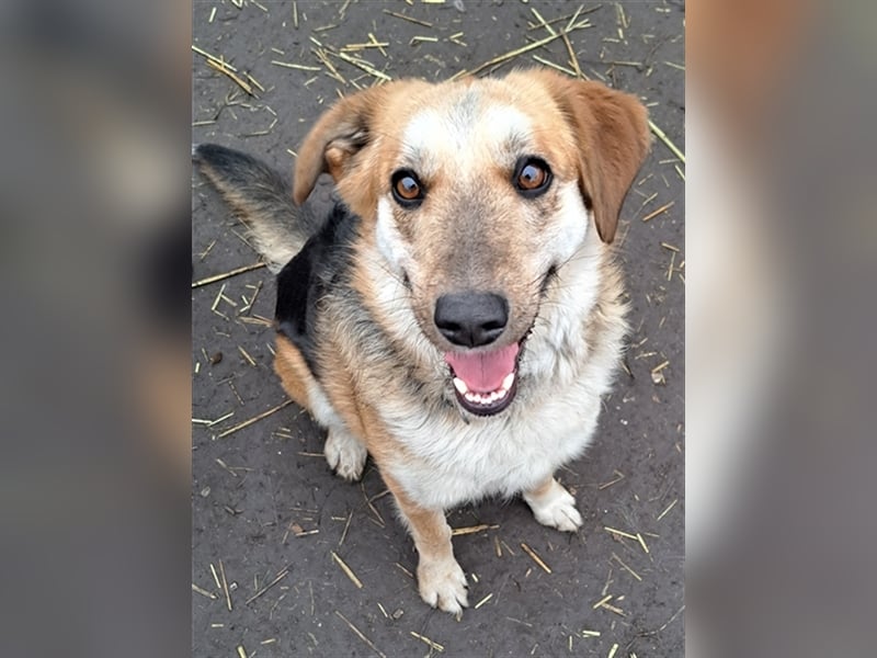Sally ( * 10.2020 ) sucht ihr eigenes Zuhause