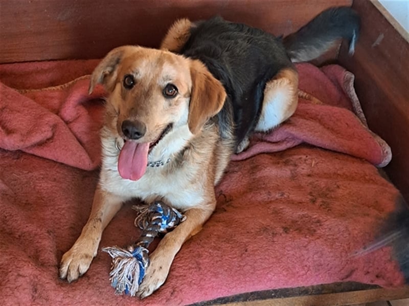 Sally ( * 10.2020 ) sucht ihr eigenes Zuhause