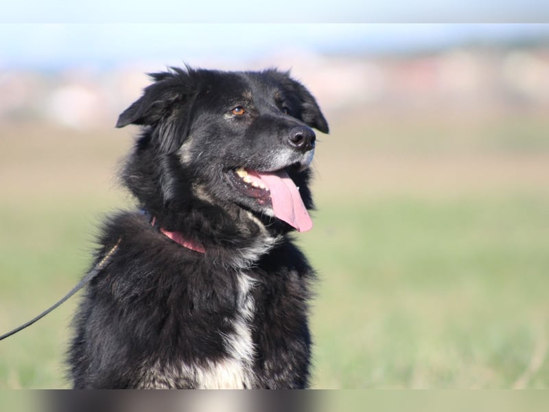 Unsere Wuschelmaus Astra