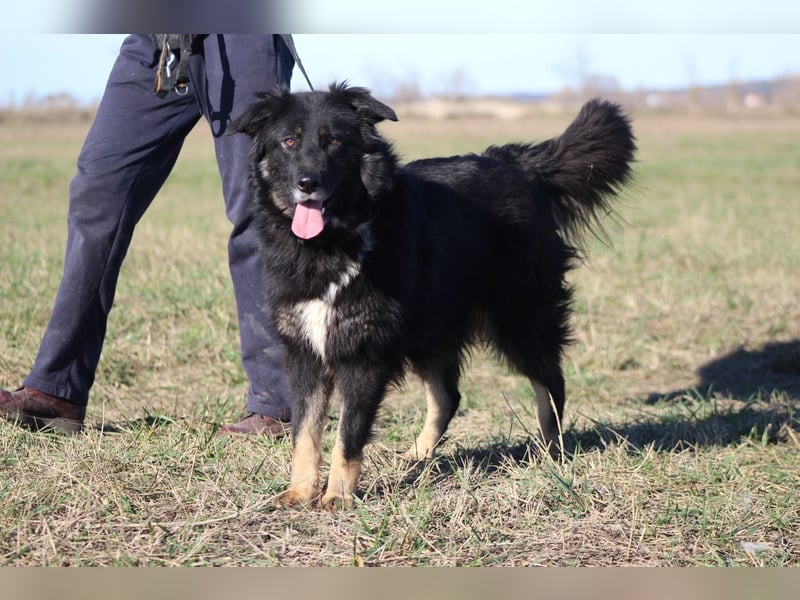 Unsere Wuschelmaus Astra