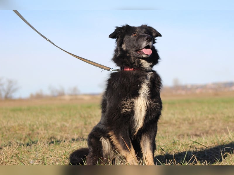 Unsere Wuschelmaus Astra