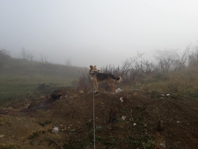 Tula