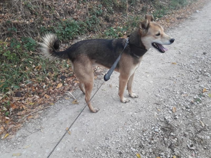 Tula