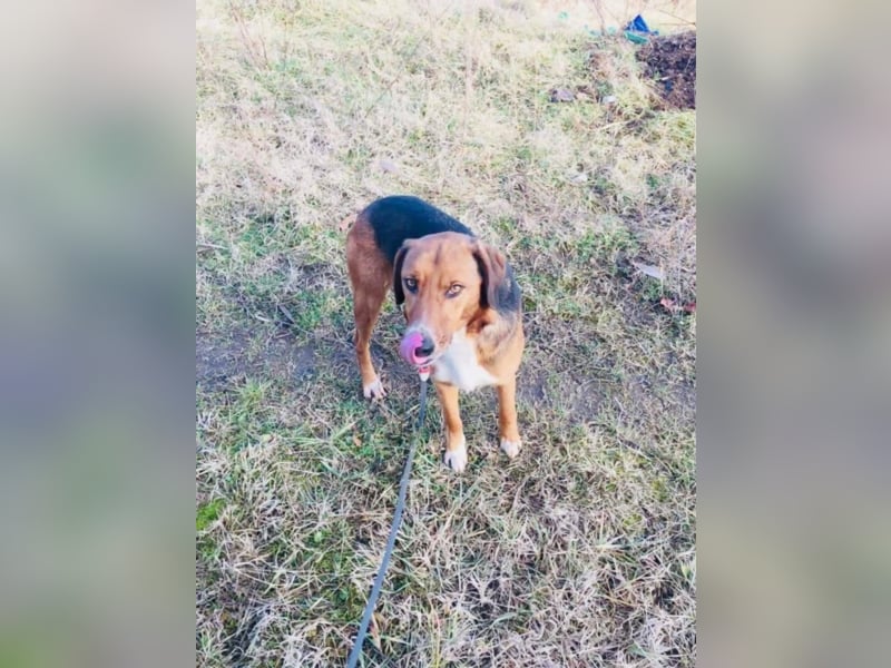 Dora
