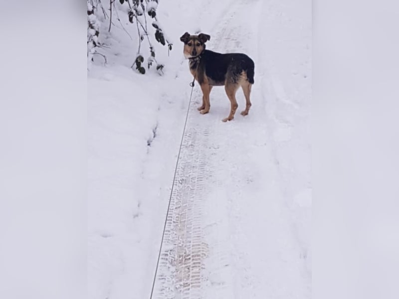 Freya