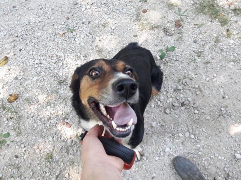 Lucy