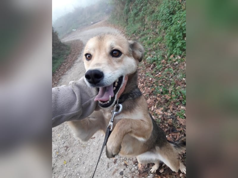 Tula
