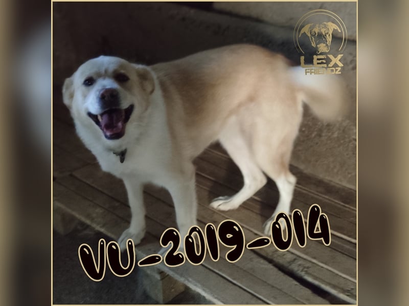 VU-2019-014 möchte hier endlich raus