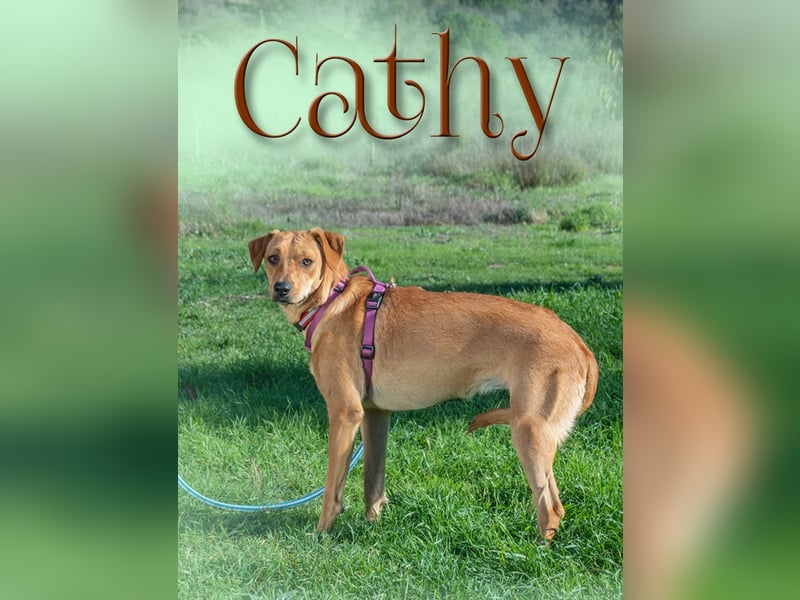 Cathy – eine Sensible