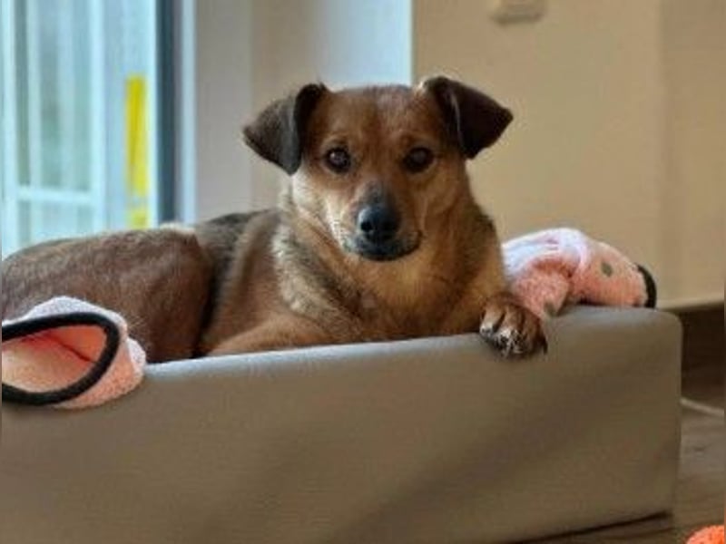 Kleine, sanfte Jaana sucht ihre Familie