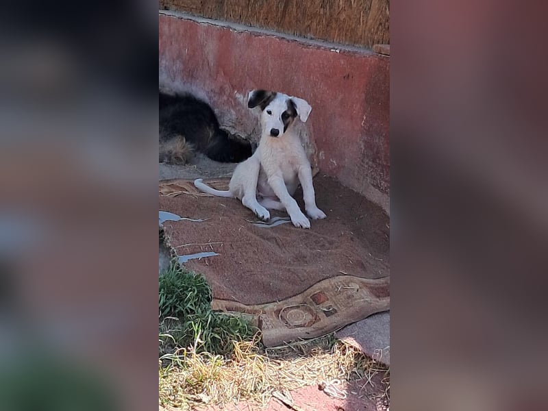Bianca-hübsches Mädchen suh Zuhause!