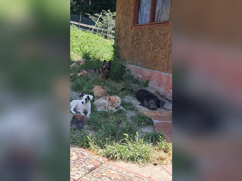 Bianca-hübsches Mädchen suh Zuhause!