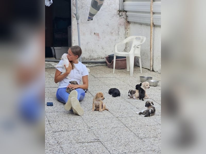 BIANCA-sucht liebevolle "Für-immer-Familie"