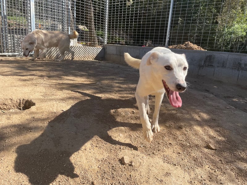 DORA - soooooooo lieb und zart!!!