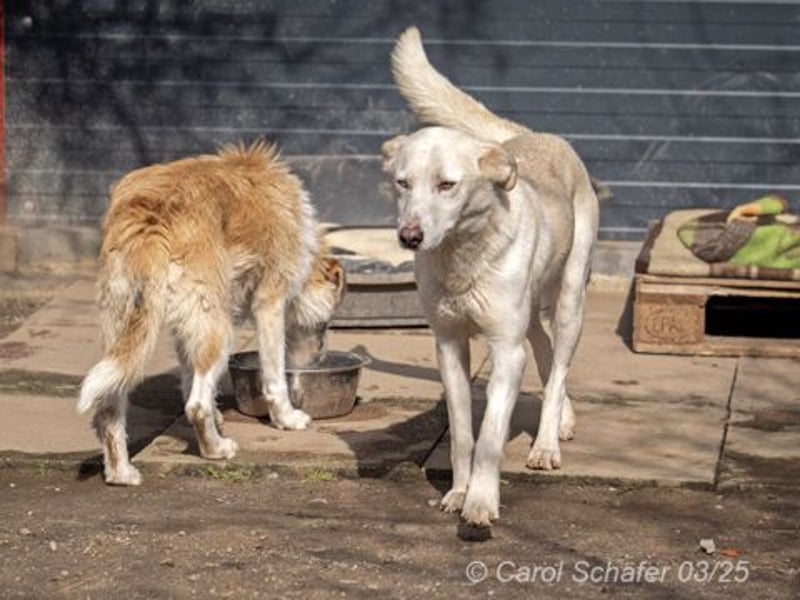 Bella-Nadessha wunderschön und angenehm
