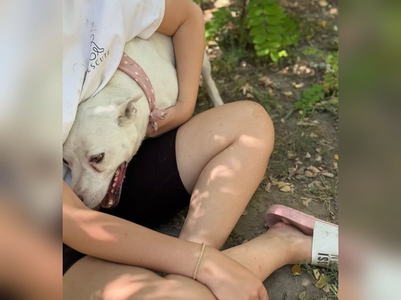 ANGEL - Einzelprinzessin in weiß sucht ihren Prinz!