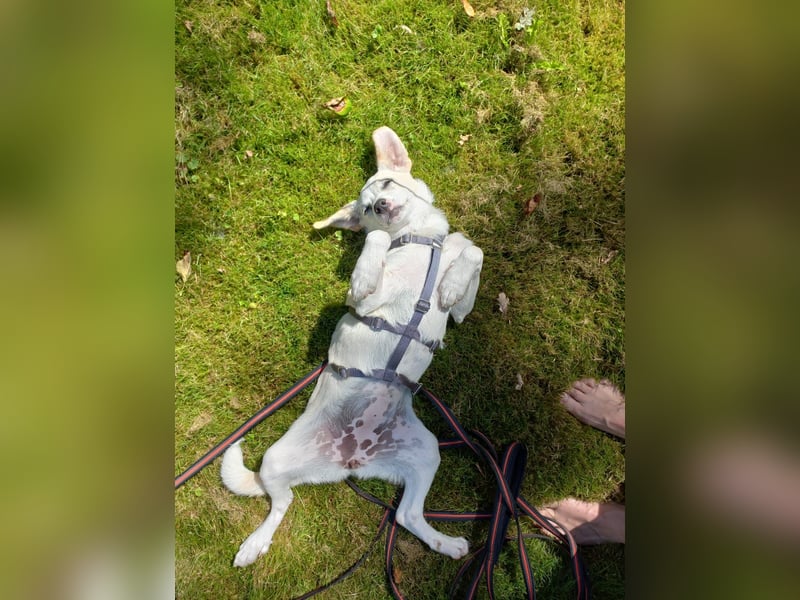 Polly - bereit was zu erleben!