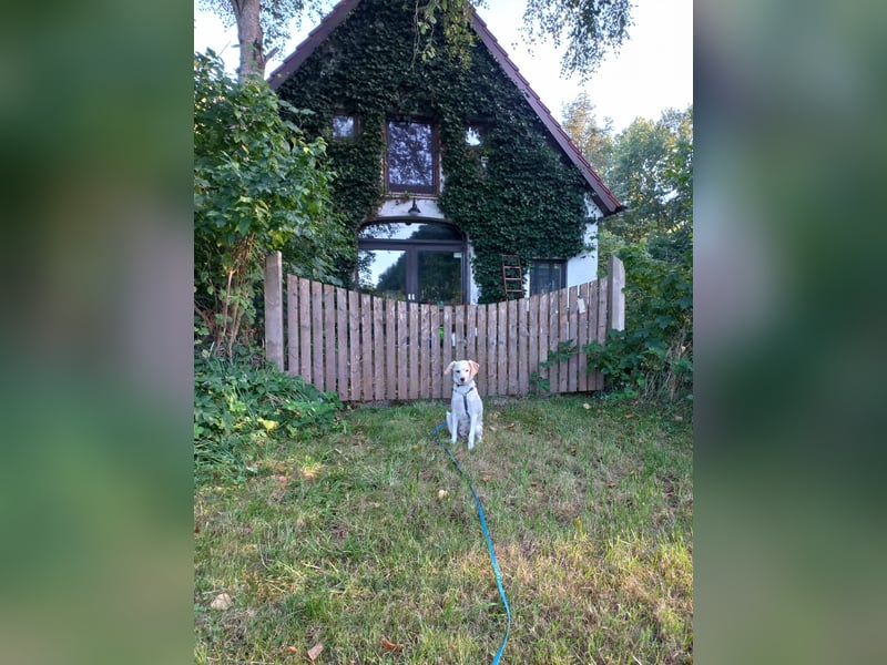 Polly - bereit was zu erleben!