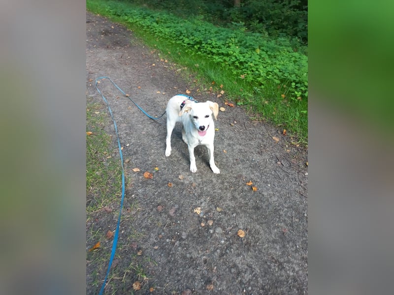 Polly - bereit was zu erleben!
