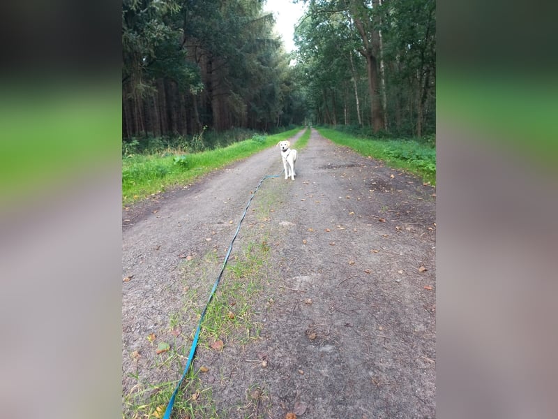 Polly - bereit was zu erleben!