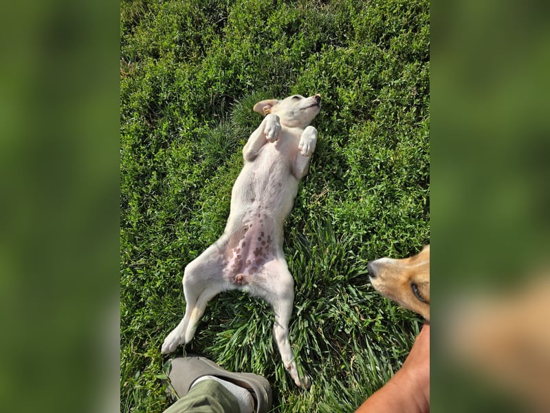 Polly - bereit was zu erleben!