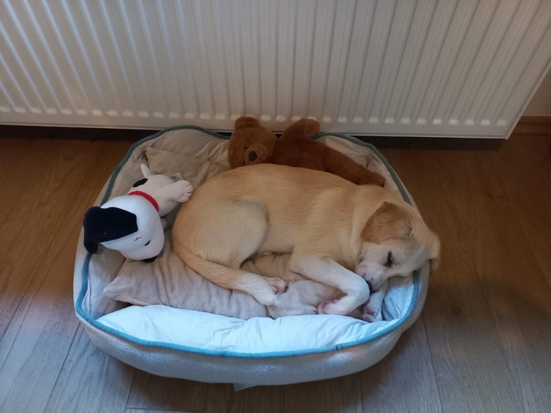 Polly - bereit was zu erleben!