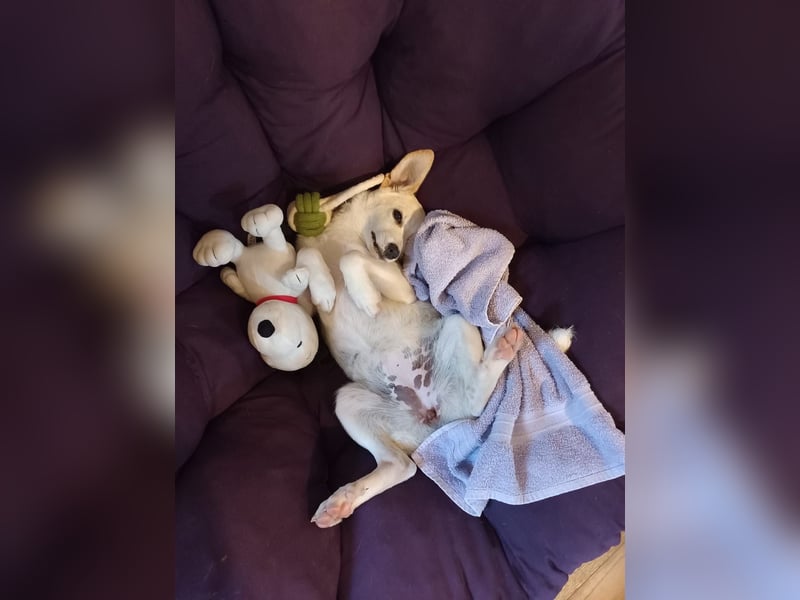 Polly - bereit was zu erleben!