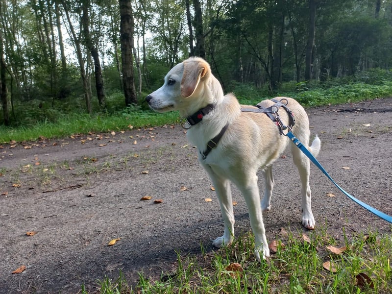 Polly - bereit was zu erleben!