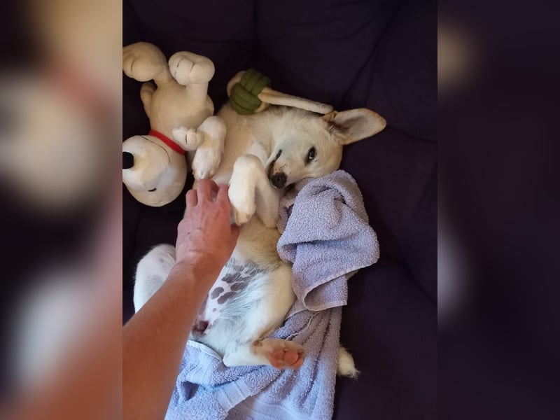 Polly - bereit was zu erleben!
