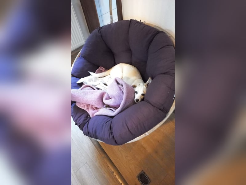 Polly - bereit was zu erleben!