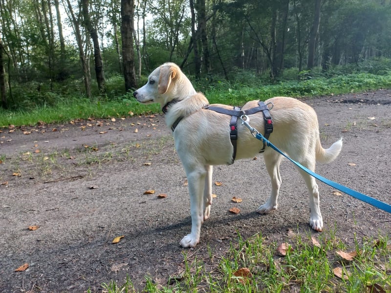 Polly - bereit was zu erleben!