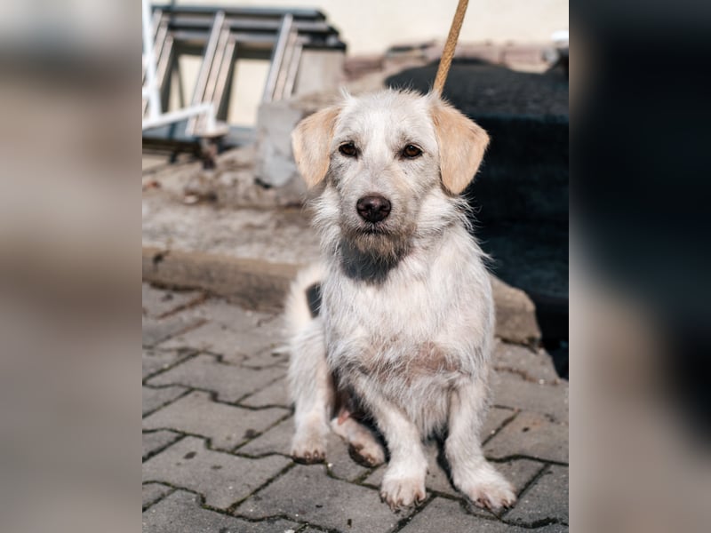 Amani sucht ihre aktive Familie