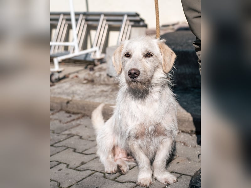 Amani sucht ihre aktive Familie