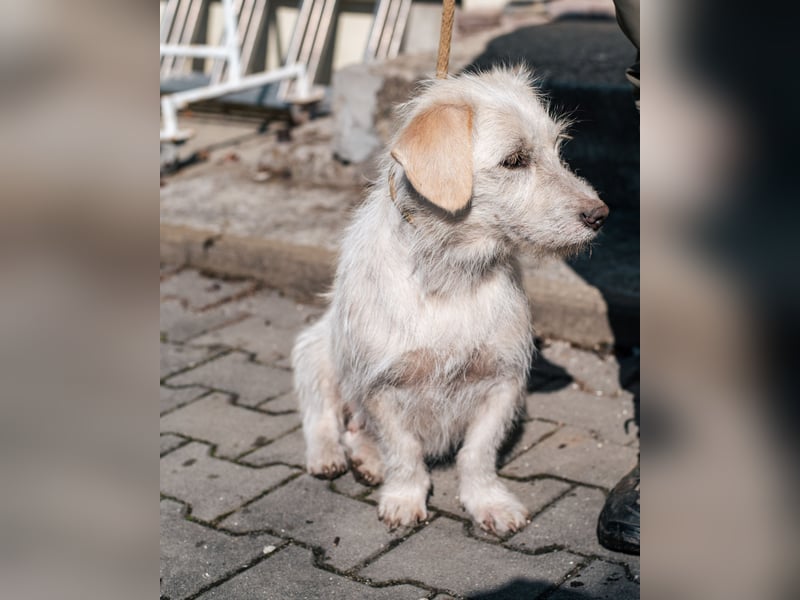 Amani sucht ihre aktive Familie
