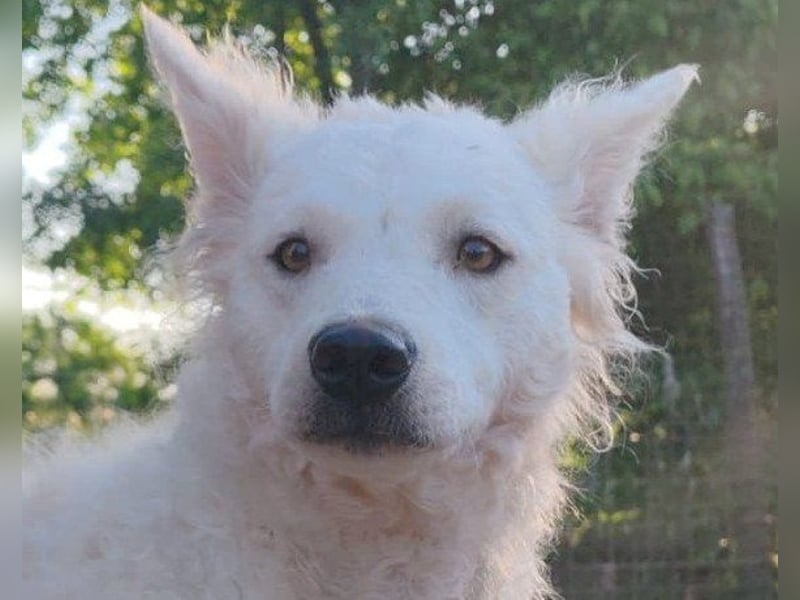 Sensible ♥ Jody ♥ sucht Liebe & Verständnis