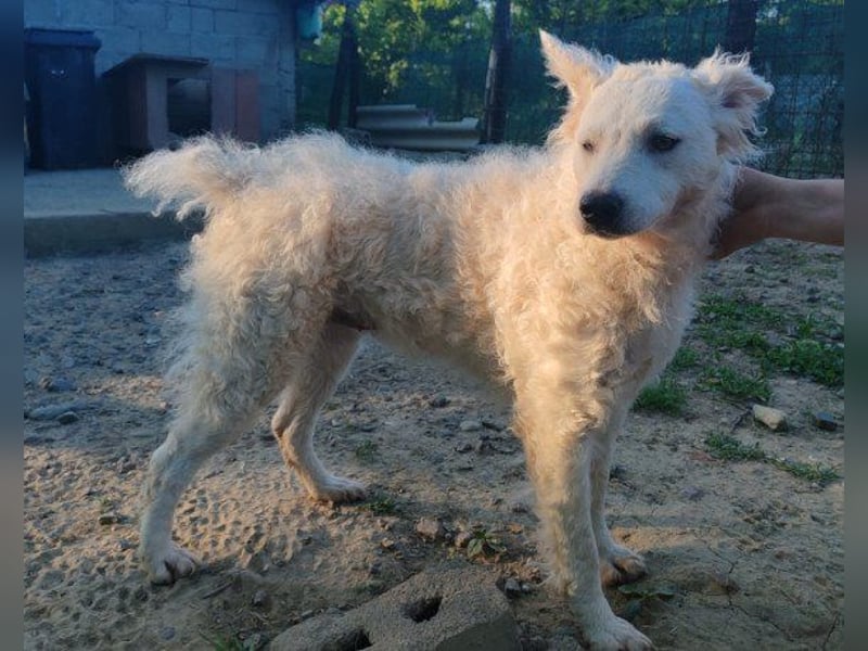 Sensible ♥ Jody ♥ sucht Liebe & Verständnis