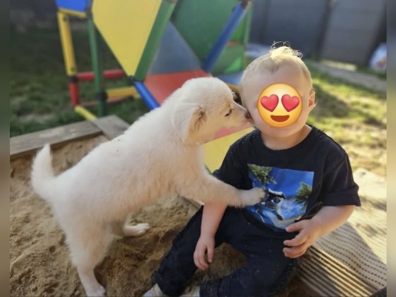 Kleine bezaubernde Raya sucht ihr Körbchen