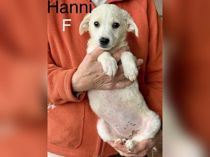 Hanni - sagt "Hallo!"