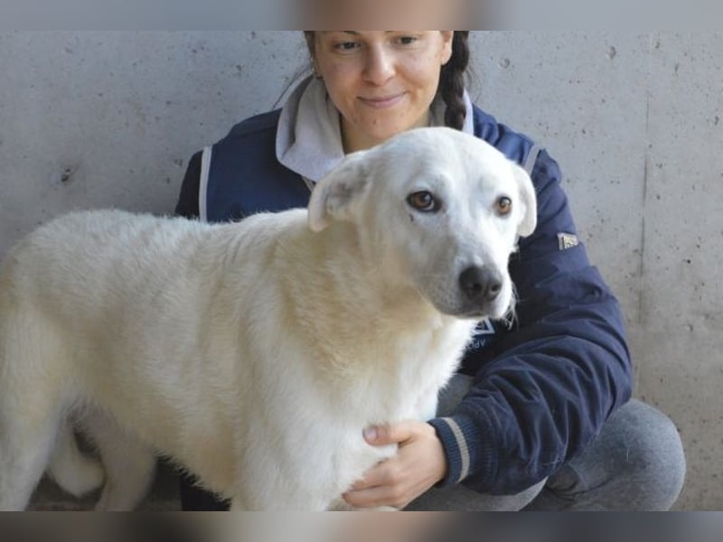 Dafnielle - Zukunft gesucht