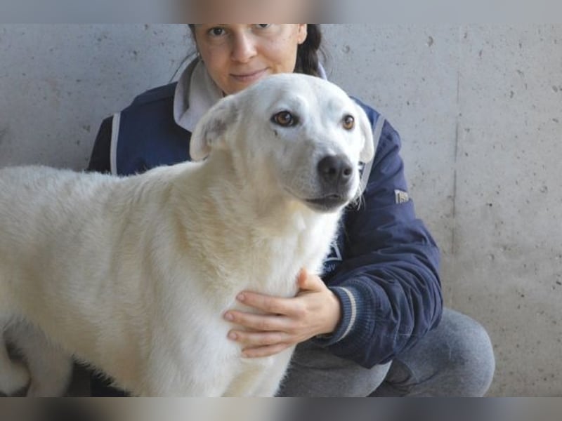 Dafnielle - Zukunft gesucht
