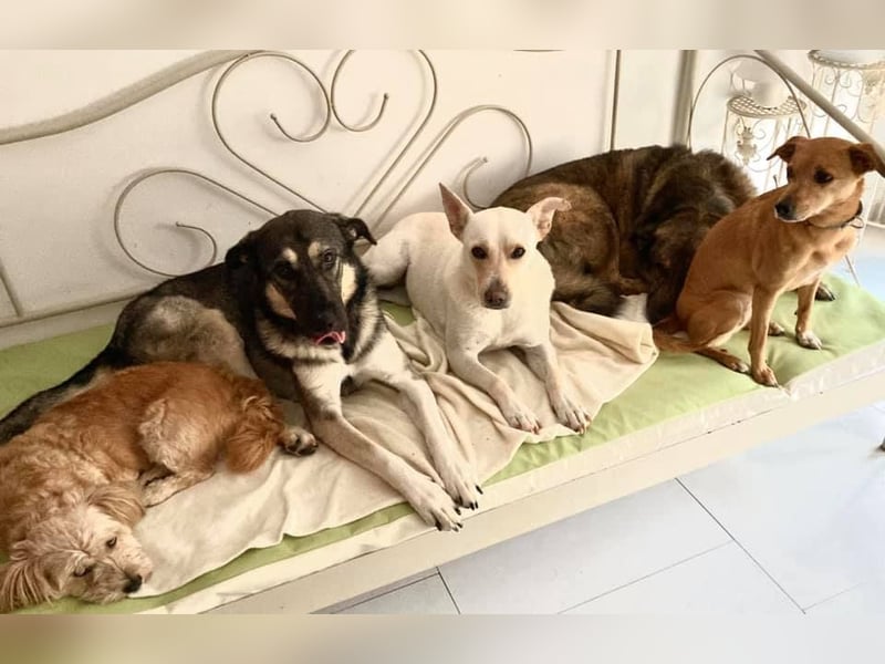 Samira: Sanft, klug und voller Liebe