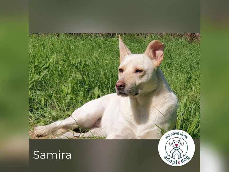 Samira: Sanft, klug und voller Liebe