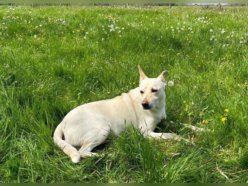 Samira: Sanft, klug und voller Liebe