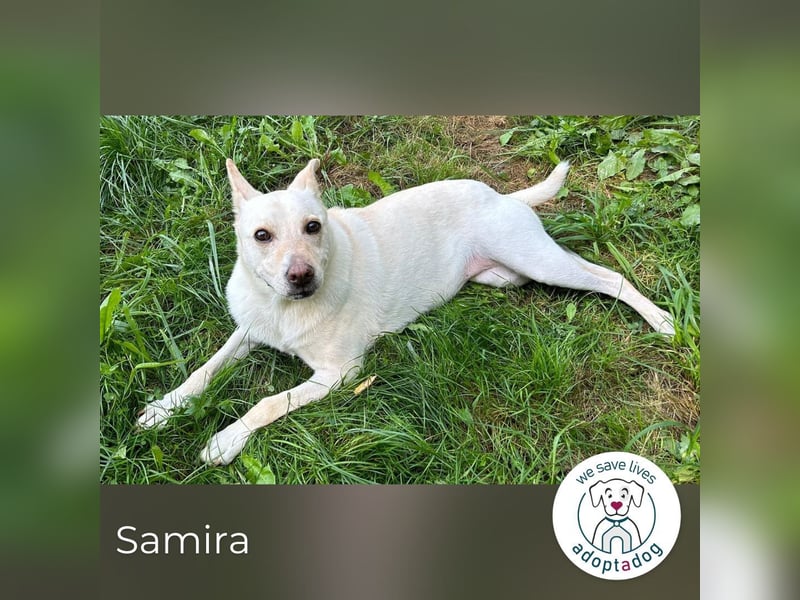 Samira: Sanft, klug und voller Liebe