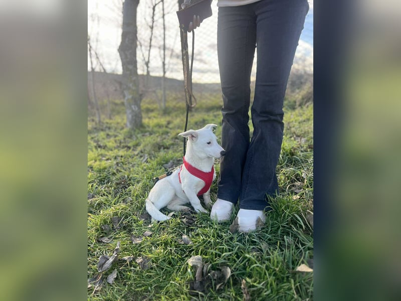 Kleine Claire wünscht sich ein liebevolles Zuhause